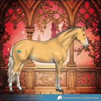 Horse Color:Palomino 