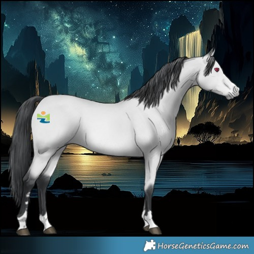 Horse Color:Bay Chinchilla