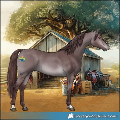 Horse Color:Chocolate Brown Chinchilla 