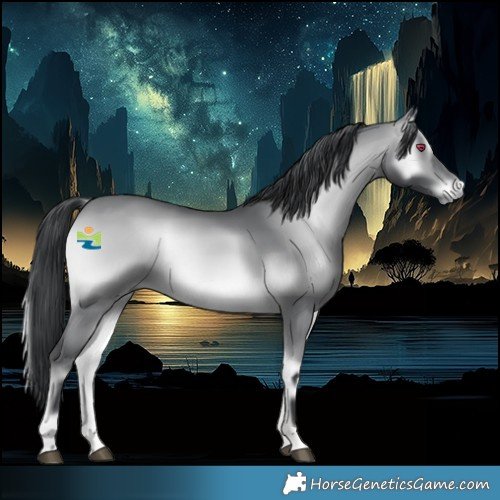 Horse Color:Platinum Brown Chinchilla Onyx 