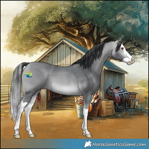 Horse Color:Platinum Bay Chinchilla Splash 