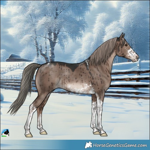 Horse Color:Liver Red Dun Mushroom Sabino Tobiano Brindle