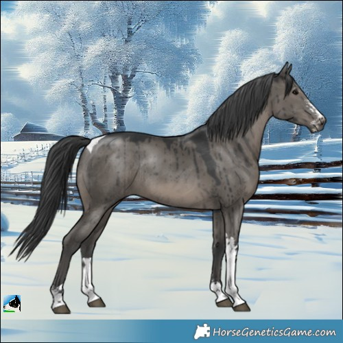Horse Color:Grullo Sabino Tobiano Rabicano Brindle