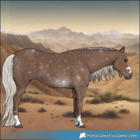 Horse Color:Silver Black