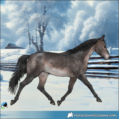 Horse Color:Platinum Brown Rabicano