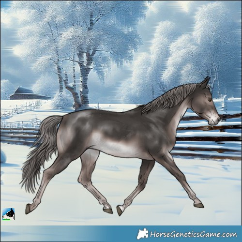Horse Color:Platinum Liver Chestnut Rabicano 