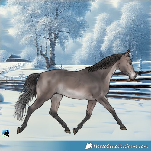 Horse Color:Platinum Bay Mushroom Rabicano 