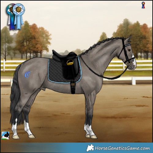 Horse Color:Grullo Appaloosa Rabicano 