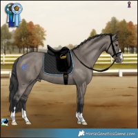 Horse Color:Grullo Appaloosa Rabicano