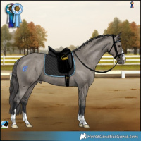 Horse Color:Grullo Varnish Rabicano