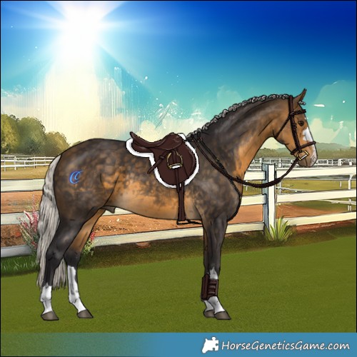 Horse Color:Silver Buckskin Rabicano 