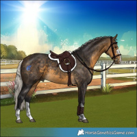Horse Color:Silver Buckskin Rabicano 