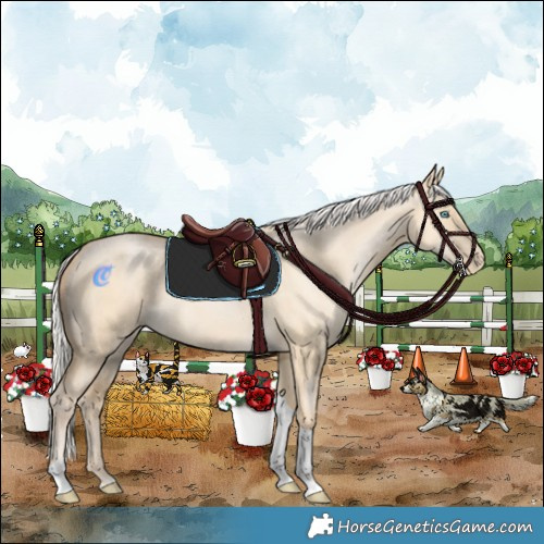 Horse Color:Silver Buckskin Pearl Dun Tobiano Rabicano