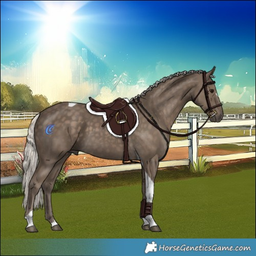 Horse Color:Silver Smoky Black Tobiano 