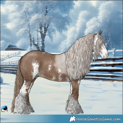 Horse Color:Liver Red Dun Sabino