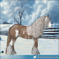 Horse Color:Liver Red Dun Sabino 