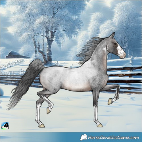 Horse Color:White Spotted Brown Roan Rabicano 