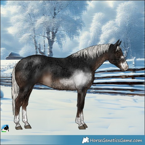 Horse Color:Liver Chestnut Ice Mushroom Rabicano