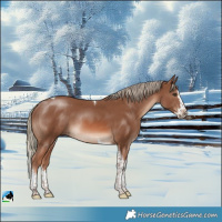 Horse Color:Chestnut Mushroom Splash Tobiano Rabicano 