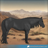 Horse Color:Black 