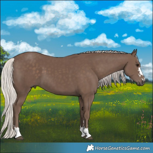Horse Color:Silver Black