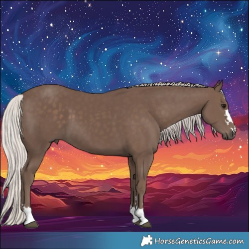 Horse Color:Silver Black