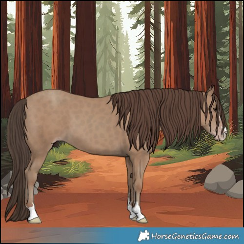 Horse Color:Classic Champagne 