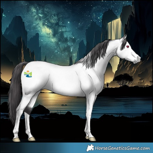 Horse Color:Buckskin Chinchilla Tobiano 