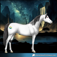 Horse Color:Buckskin Chinchilla Tobiano 