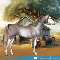 Horse Color:Gray Painted Chocolate Bay Chinchilla Splash