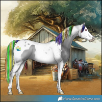 Horse Color:Platinum Painted Buckskin Chinchilla Splash Tobiano 