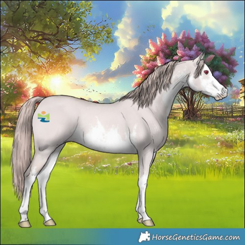 Horse Color:Platinum White Spotted Red Dun Rabicano 