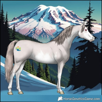 Horse Color:Platinum White Spotted Red Dun Rabicano 