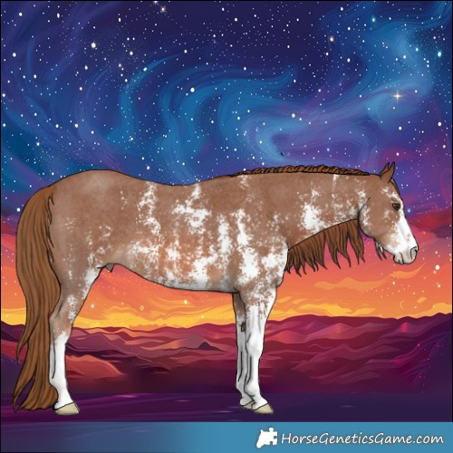 Horse Color:Chestnut Sabino