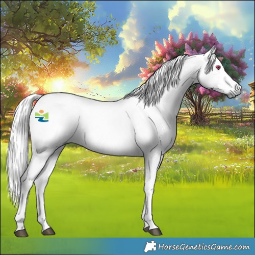 Horse Color:Platinum Red Dun Chinchilla 