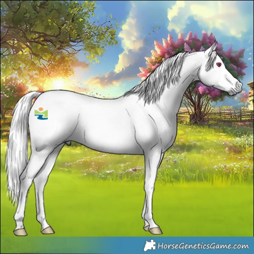 Horse Color:Platinum Palomino Chinchilla Onyx Rabicano 