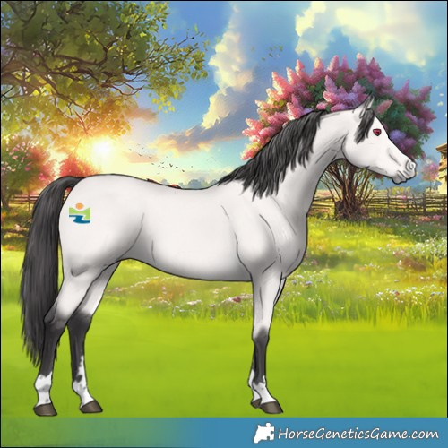 Horse Color:Platinum Buckskin 
