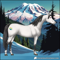 Horse Color:Platinum Buckskin 