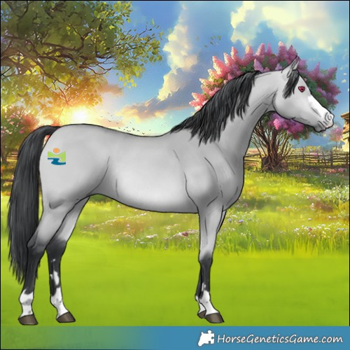 Horse Color:Platinum Bay Chinchilla Dun Rabicano 