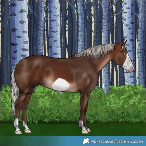 Horse Color:Silver Brown Frame