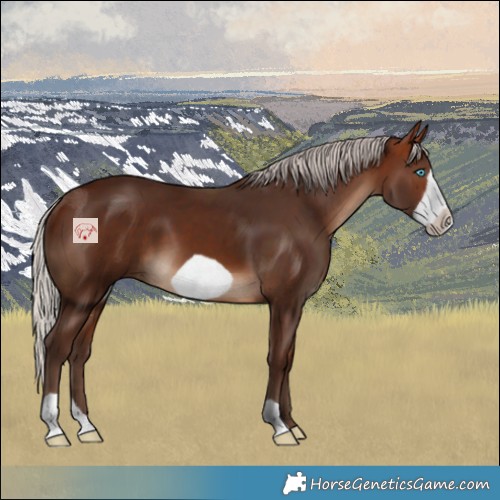 Horse Color:Silver Brown Frame