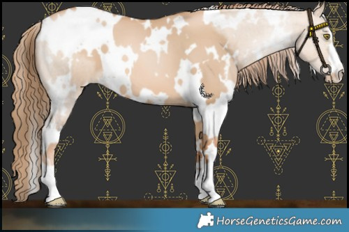 Horse Color:White Spotted Red Dun Pearl 