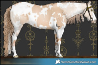 Horse Color:White Spotted Red Dun Pearl 