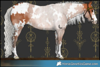 Horse Color:White Spotted Silver Bay 