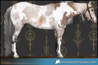 Horse Color:White Spotted Bay Dun 