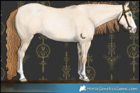 Horse Color:Buckskin Pearl Dun 