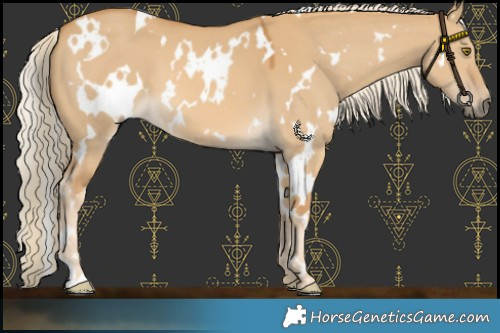 Horse Color:White Spotted Palomino Dun Mushroom 