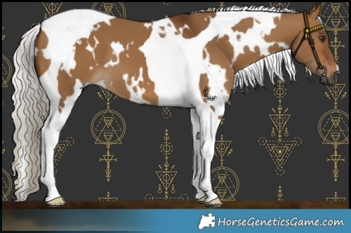 Horse Color:Gray White Spotted Silver Bay Dun Tobiano 