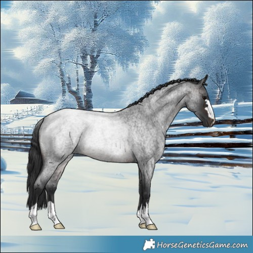 Horse Color:Brown Roan