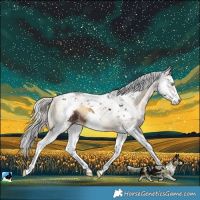 Horse Color:Brown Onyx Harlequin Merle Sabino 